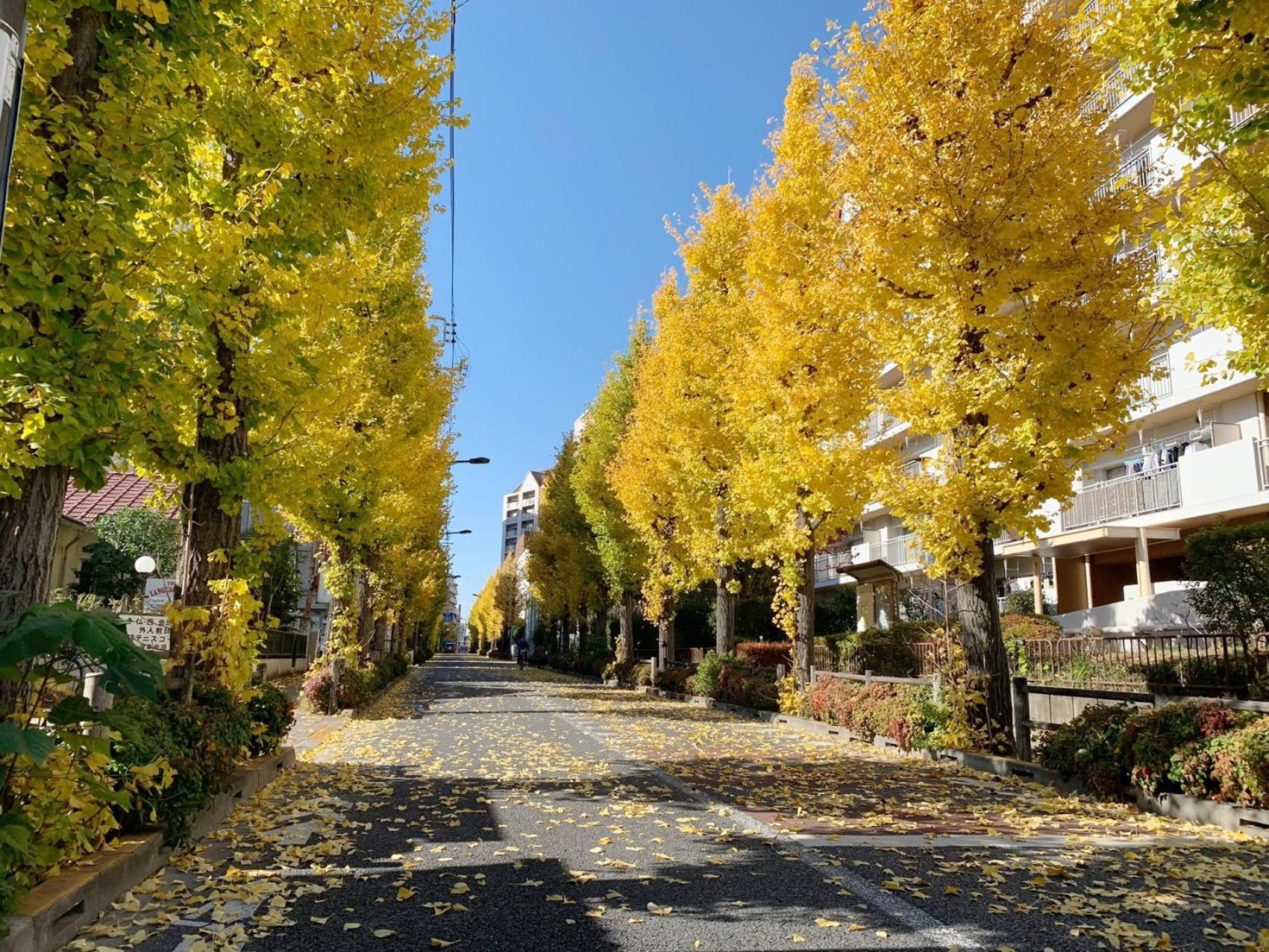 Rosenheim Tokyo Shinjuku Luaran gambar
